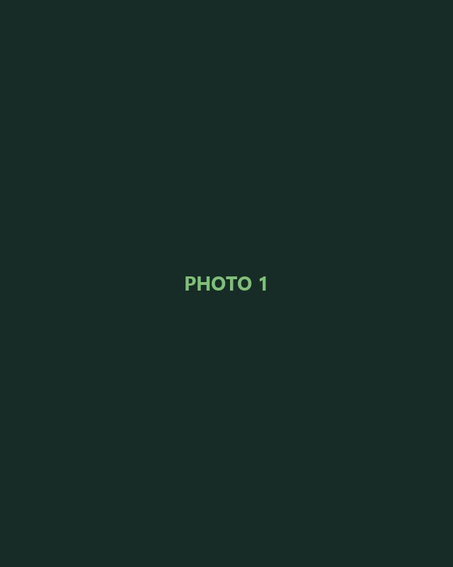 Placeholder photo 1