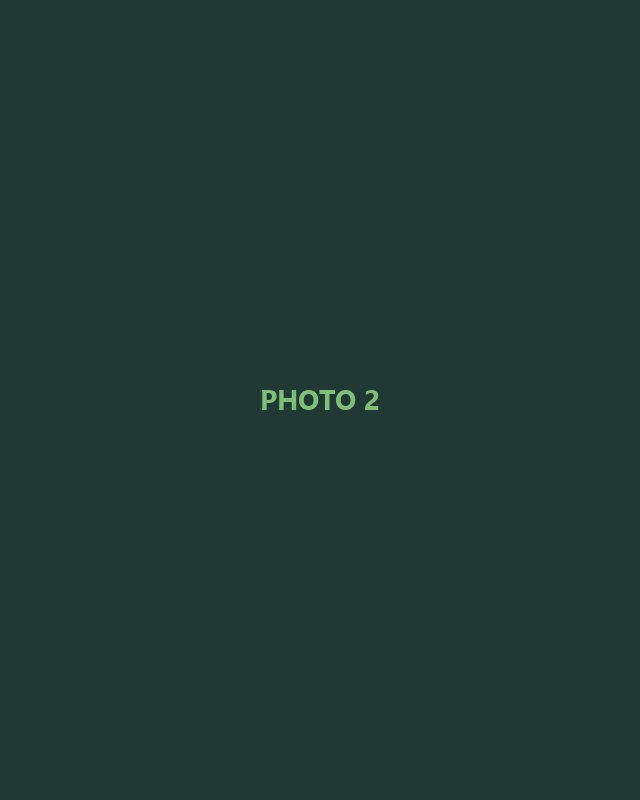 Placeholder photo 2