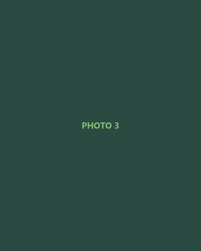 Placeholder photo 3