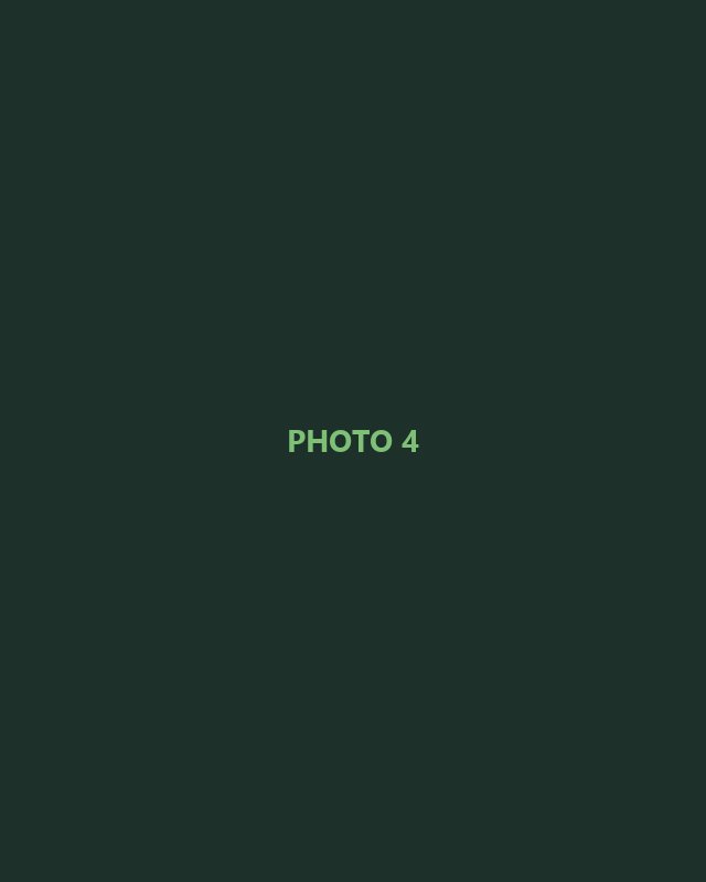 Placeholder photo 4