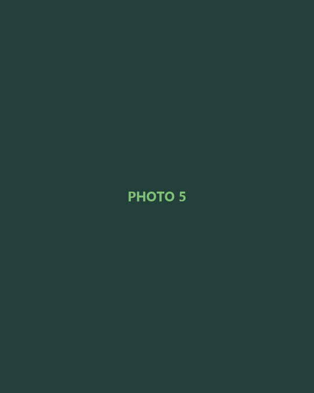 Placeholder photo 5